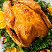 A golden roast turkey on a large serving platter with fresh herbs.